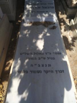 תמונת מצבה