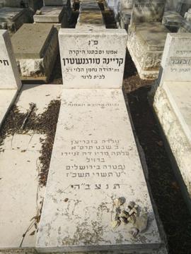 תמונת מצבה