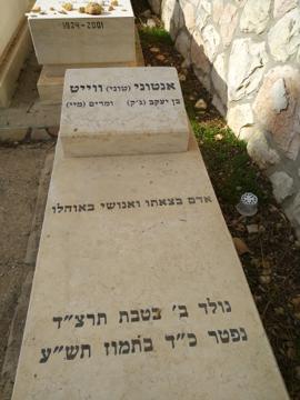תמונת מצבה