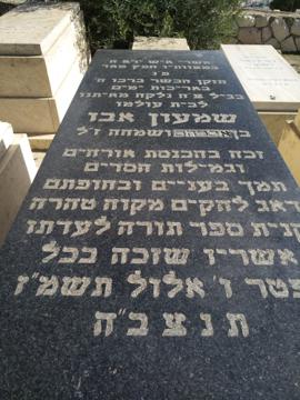 תמונת מצבה