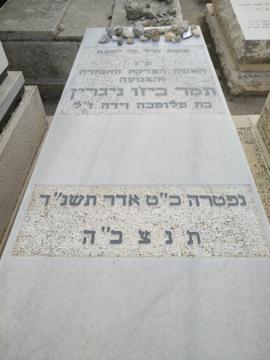 תמונת מצבה