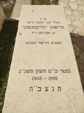 תמונת מצבה