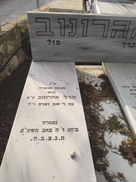 תמונת מצבה