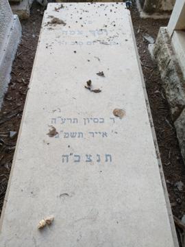 תמונת מצבה