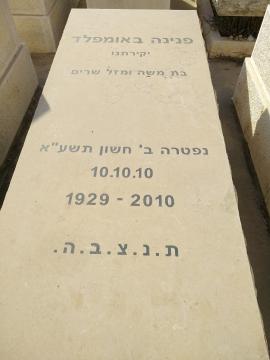 תמונת מצבה