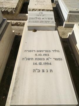 תמונת מצבה