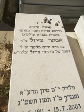 תמונת מצבה