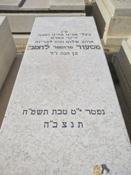 תמונת מצבה