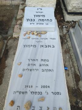 תמונת מצבה