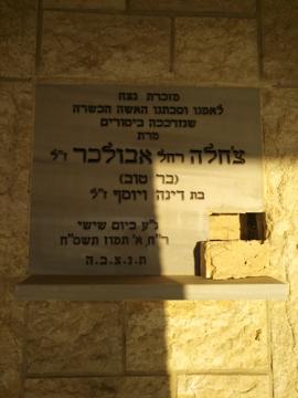 תמונת מצבה