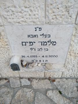 תמונת מצבה