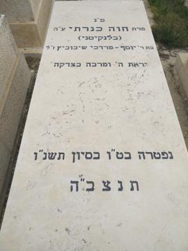 תמונת מצבה