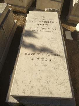 תמונת מצבה