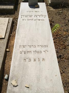 תמונת מצבה