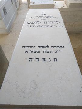 תמונת מצבה