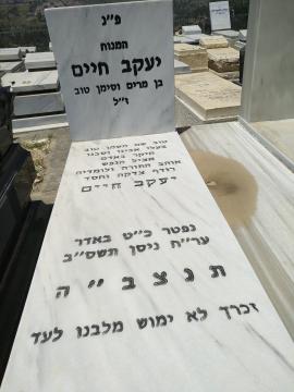 תמונת מצבה