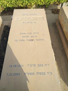 תמונת מצבה