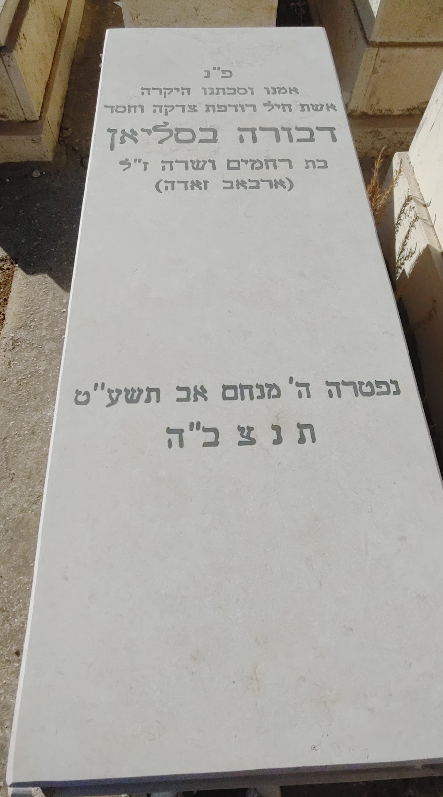 תמונת מצבה