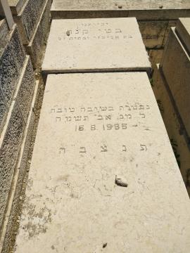 תמונת מצבה