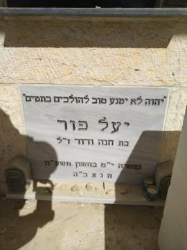 תמונת מצבה