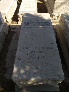 תמונת מצבה