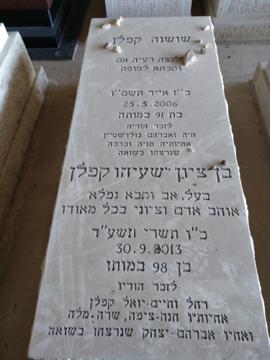 תמונת מצבה