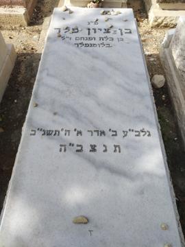 תמונת מצבה