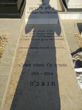 תמונת מצבה