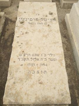 תמונת מצבה