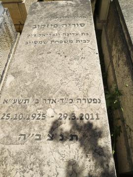 תמונת מצבה