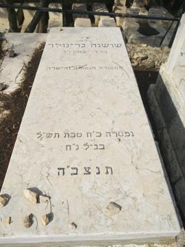 תמונת מצבה