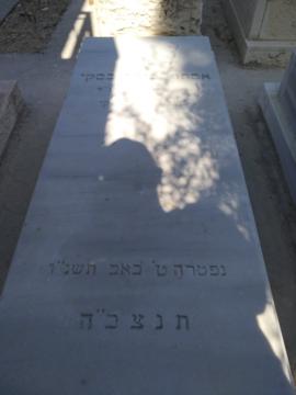 תמונת מצבה