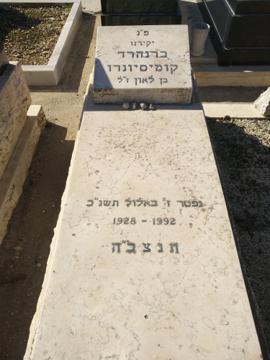 תמונת מצבה