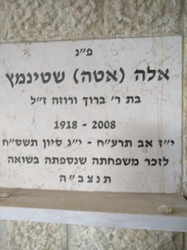 תמונת מצבה