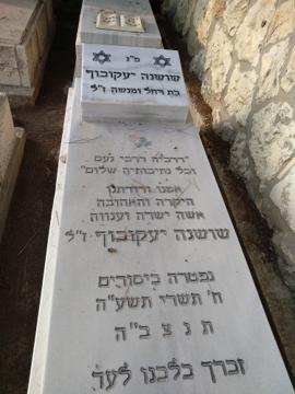 תמונת מצבה