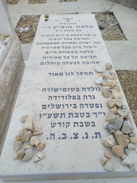 תמונת מצבה