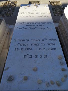 תמונת מצבה