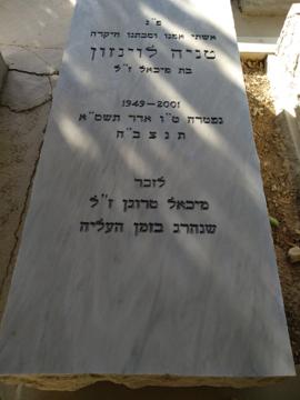 תמונת מצבה