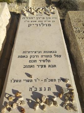 תמונת מצבה