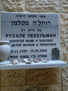 תמונת מצבה