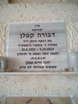 תמונת מצבה
