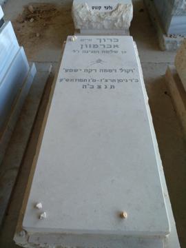 תמונת מצבה