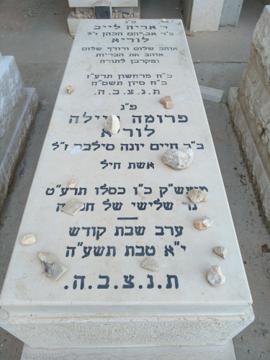תמונת מצבה