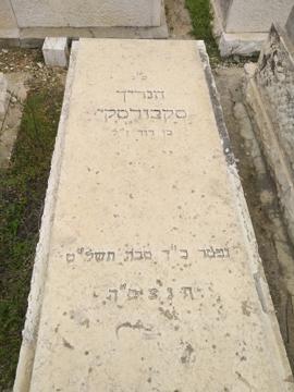 תמונת מצבה