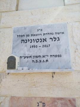 תמונת מצבה
