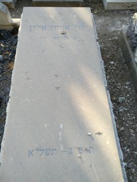 תמונת מצבה