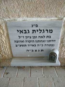 תמונת מצבה