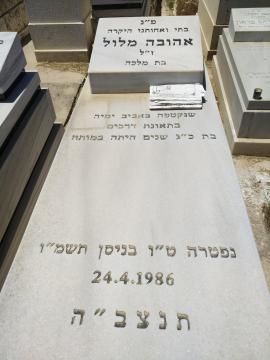 תמונת מצבה