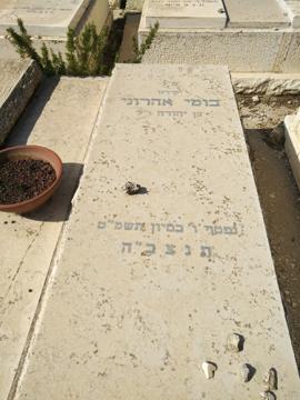 תמונת מצבה