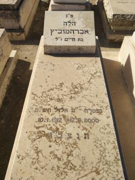 תמונת מצבה